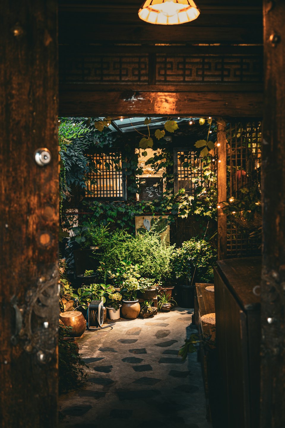 Potted plants line a stone path in a green courtyard.